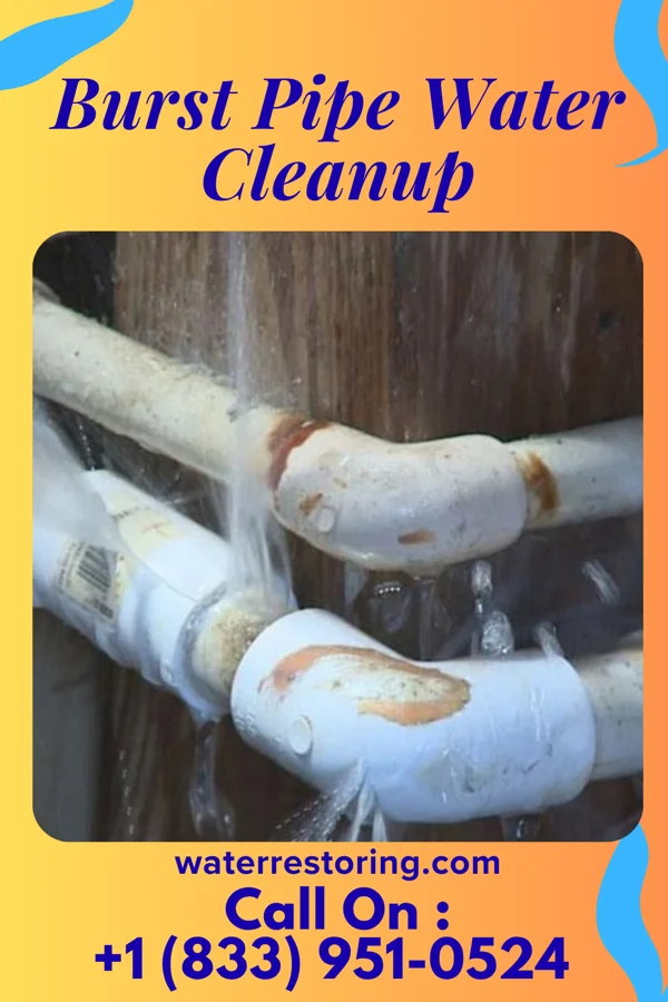 Burst Pipe Water Cleanup in Jerseytown, PA