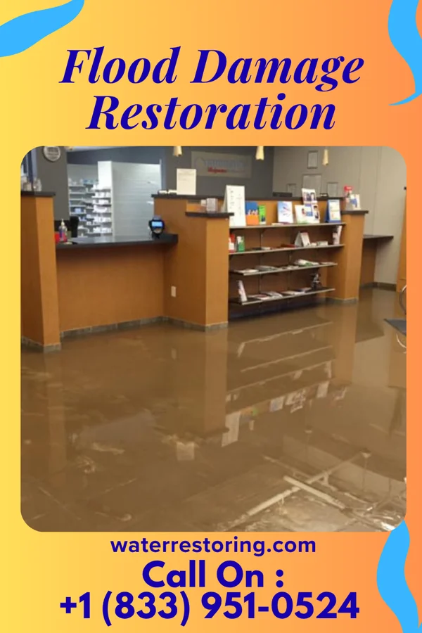 Flood Damage Restoration in Jerseytown, PA