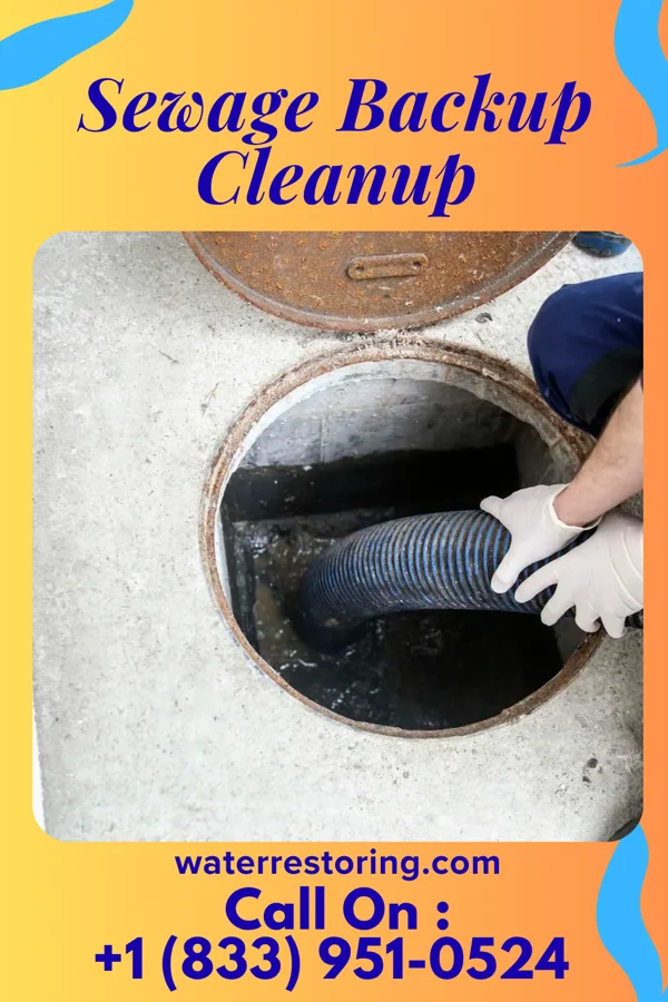 Sewage Backup Cleanup in Jerseytown, PA