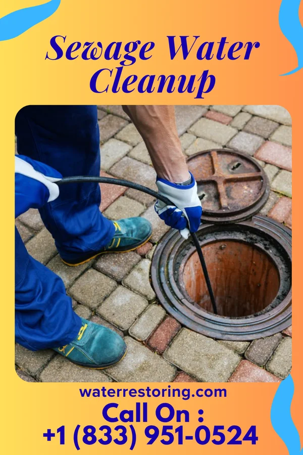 Sewage Water Cleanup in Jerseytown, PA